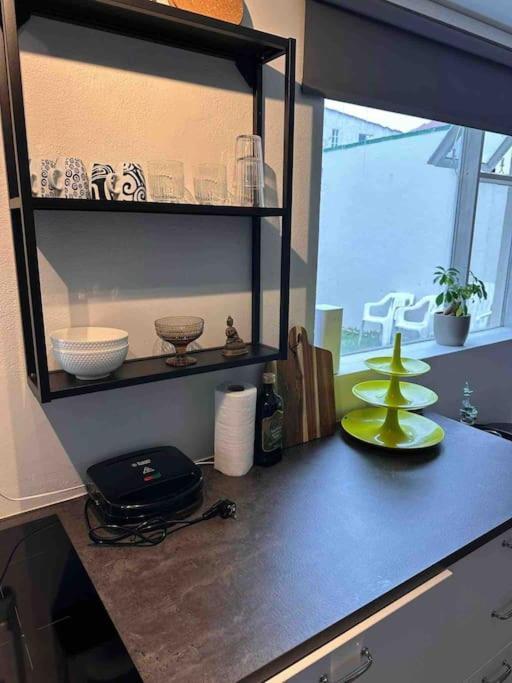 Studio Apartment Reykjavik City Center Eksteriør billede