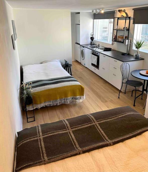 Studio Apartment Reykjavik City Center Eksteriør billede