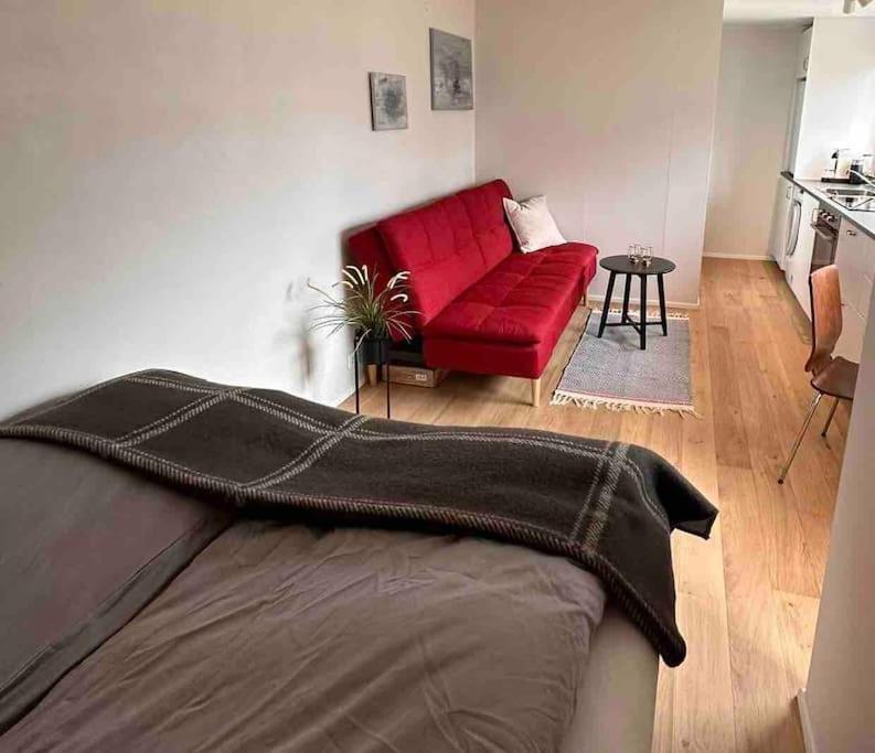 Studio Apartment Reykjavik City Center Eksteriør billede