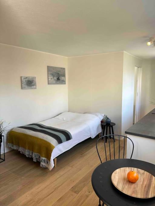 Studio Apartment Reykjavik City Center Eksteriør billede