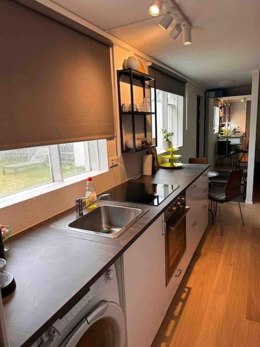 Studio Apartment Reykjavik City Center Eksteriør billede