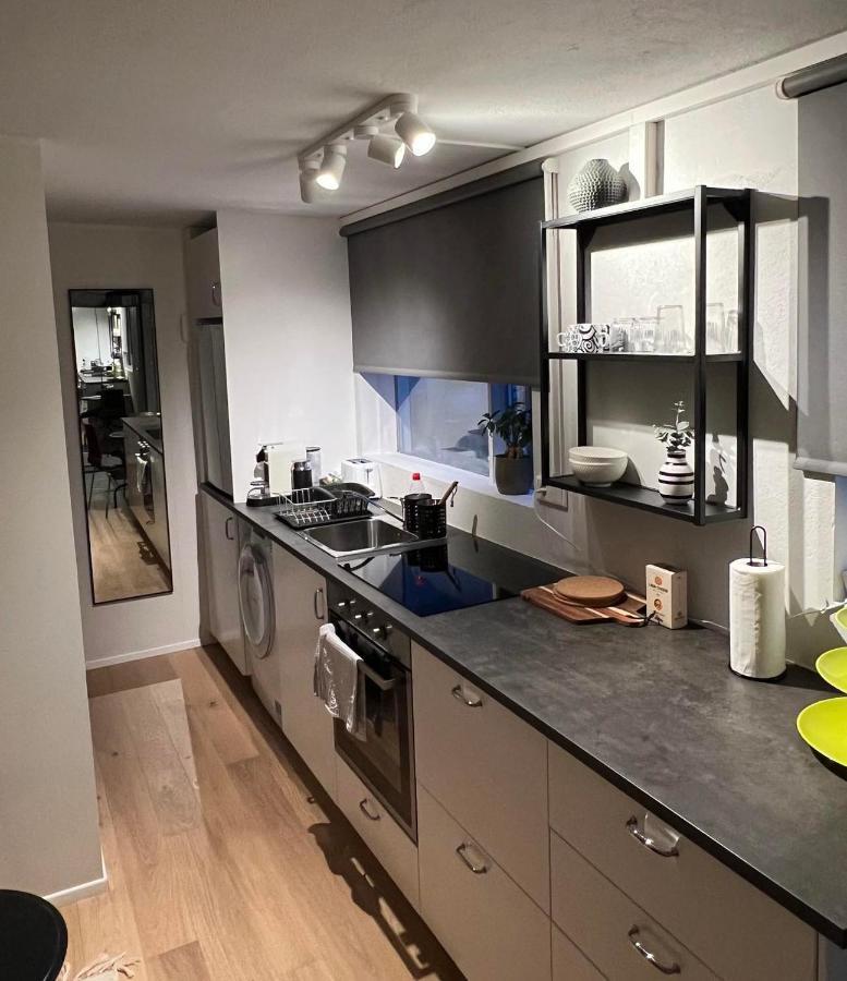 Studio Apartment Reykjavik City Center Eksteriør billede